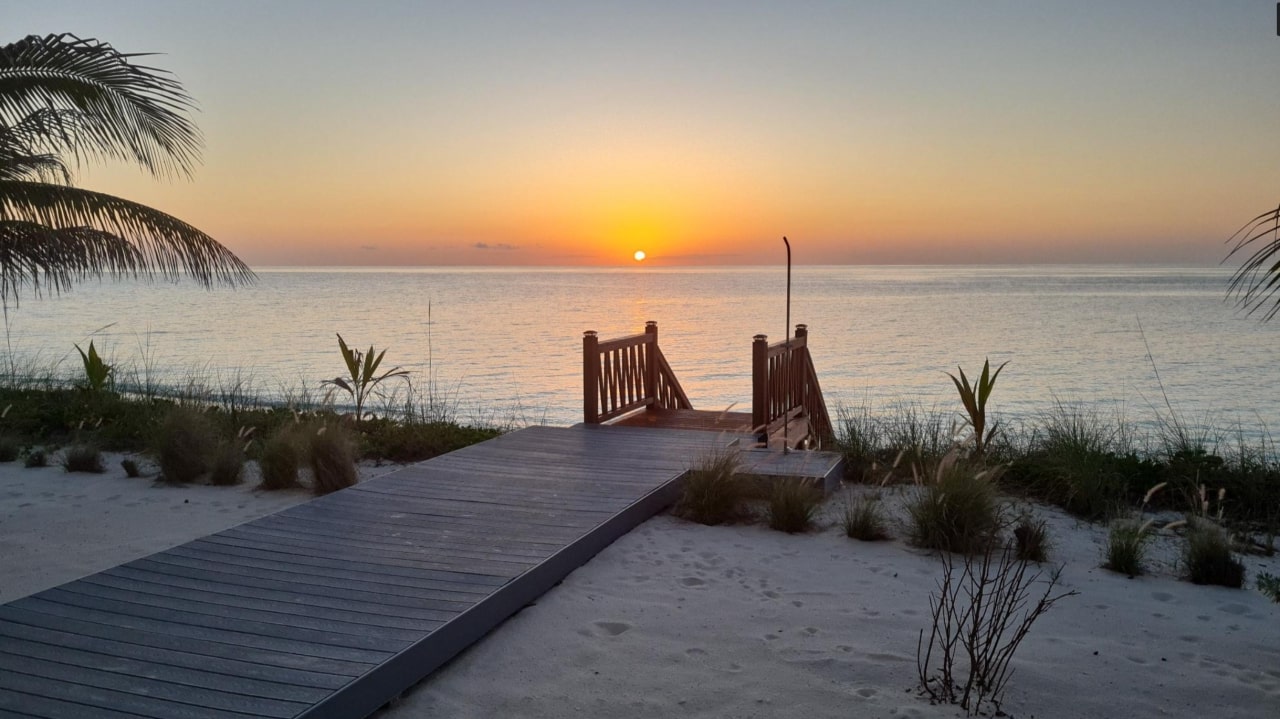 Introducing Sea Shanty